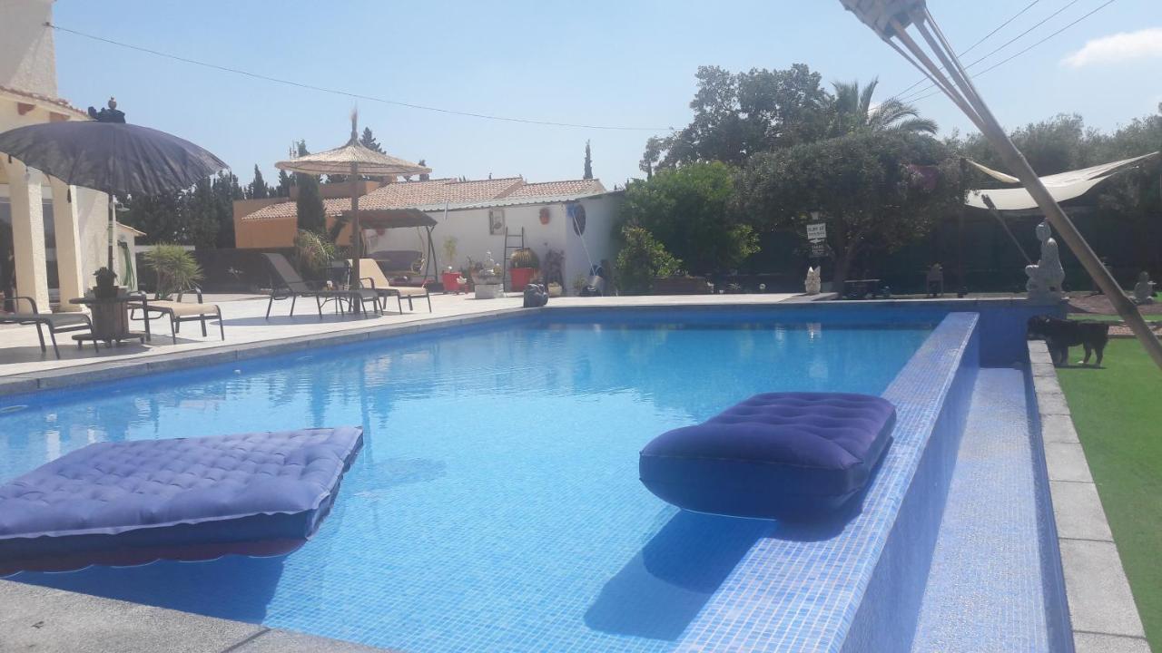Casadelfenix Hotell Crevillente Exteriör bild